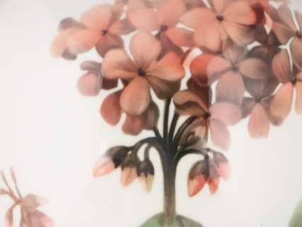 Ваза форма Ламповая рисунок Пеларгонии арт. 80.89228.00.1, 