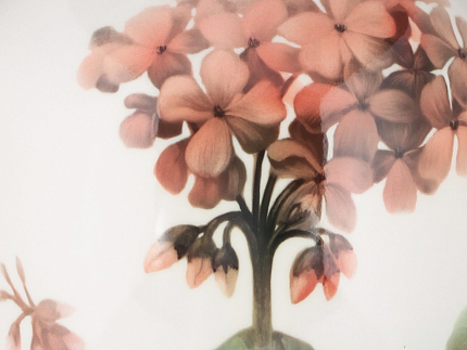 Ваза форма Ламповая рисунок Пеларгонии арт. 80.89228.00.1