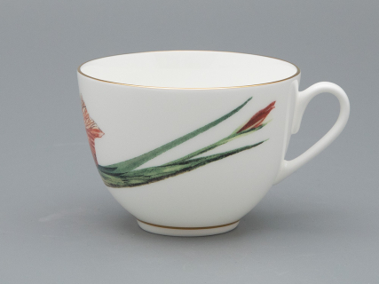 Чашка с блюдцем L’Art des Fleurs (Искусство цветов) в подарочной упаковке, форма Весенняя 2, рисунок Тигровый ирис, арт 81.33404.00.1, 