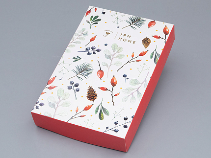 Комплект салфеток 45х45 с Вышивкой Календа (2шт) арт 14.01073.03