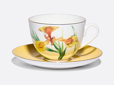 Чашка с блюдцем L’Art des Fleurs (Искусство цветов) в подарочной упаковке, форма Весенняя 2, рисунок Лесной свет, арт 81.33401.00.1