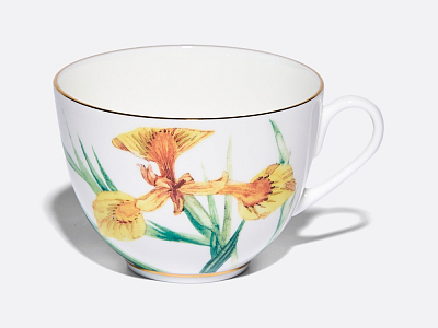 Чашка с блюдцем L’Art des Fleurs (Искусство цветов) в подарочной упаковке, форма Весенняя 2, рисунок Лесной свет, арт 81.33401.00.1