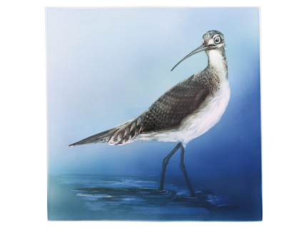 Пласт 350х350 форма Квадратный рисунок Кулик арт. 80.89235.00.1