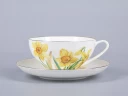 Чашка с блюдцем чайная 300 мл форма Купольная рисунок Narcissus арт. 81.29658.00.1, 