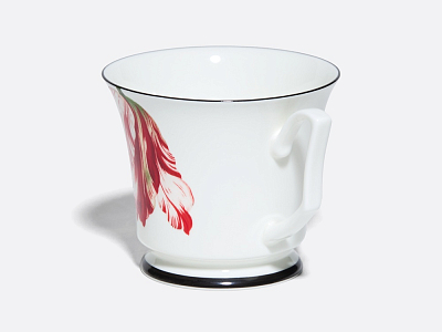 Подарочный набор чашка с блюдцем, форма Юлия рисунок Сысоев. Волшебный сад III арт. 81.30914.00.1