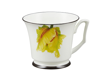 Подарочный набор чашка с блюдцем, форма Юлия рисунок Сысоев. Волшебный сад II арт. 81.30913.00.1