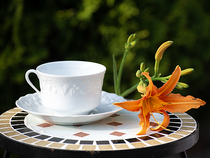 Чашка с блюдцем для завтрака м.р. 330 мл California арт. 96.11261.00.1