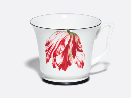 Подарочный набор чашка с блюдцем, форма Юлия рисунок Сысоев. Волшебный сад III арт. 81.30914.00.1, 