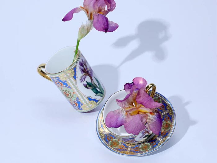 Чашка с блюдцем 250 мл в подарочной упаковке форма Соло, рисунок Нежный Ирис, арт. 81.32657.00.1, 