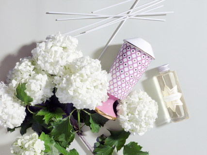 Подарочный набор Аромадиффузор Астра 1, аромат Ванильное небо, арт 81.33305.00.1, 