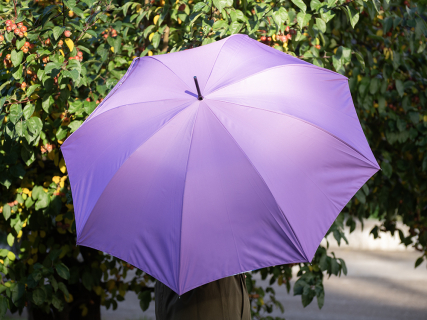 Зонт-трость рисунок Бал Пушкинских героев Сиреневый арт. 41.00188.02, 