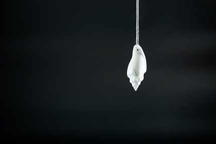 Подвеска Курорт, рисунок Белый, арт 60.09451.00.1