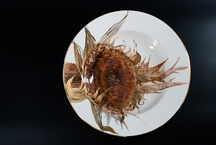 Тарелка 210 мм Позднее солнце, на форме Премиум, арт 40.03269.00.1