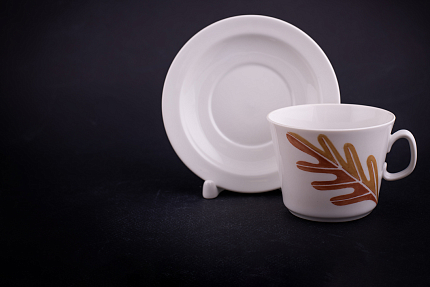 Сервиз чайный форма Молодежная, рисунок Сентябрь на 6 персон 20 предметов, арт 61.21023.00.1