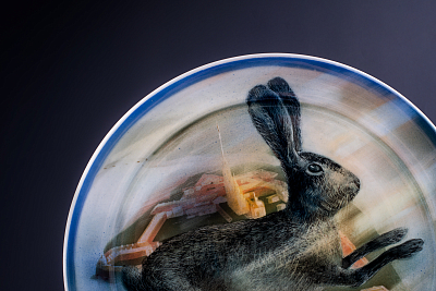 Блюдо декоративное Над островом Заячий, на форме Ромашка, арт 60.10245.00.1