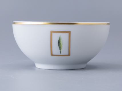 Сервиз столовый, на 4 персоны, 17 предметов Ришелье Jardin Florance\Toscane арт. 96.13151.00.1, 