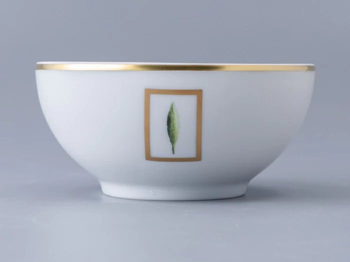 Сервиз столовый, на 4 персоны, 17 предметов Ришелье Jardin Florance\Toscane арт. 96.13151.00.1, 