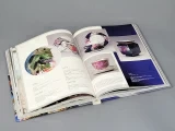 Книга Истоки. Фарфор Нели Петровой арт. 14.00165.05, 