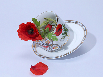 Чашка с блюдцем 250 мл в подарочной упаковке форма Соло, рисунок, Мак восточный, арт.81.32655.00.1