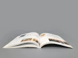 Книга "Государственный Эрмитаж и Императорский фарфоровый завод 20 лет дружбы", арт 14.00905.05, 