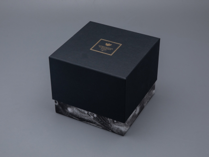 Бокал с блюдцем и крышкой 400 мл в подарочной упаковке, форма top рисунок Черный мустанг, арт 81.34276.00.1, 