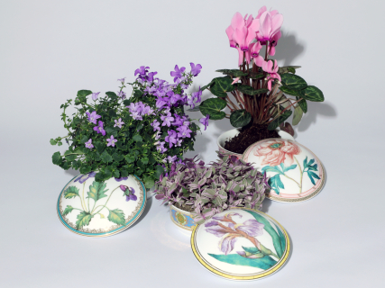 Туалетная коробочка в подарочной упаковке, форма Круглая, рисунок Фиалка надрезанная, арт 81.33190.00.1, 