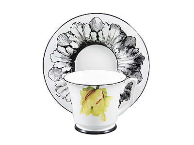 Подарочный набор чашка с блюдцем, форма Юлия рисунок Сысоев. Волшебный сад II арт. 81.30913.00.1