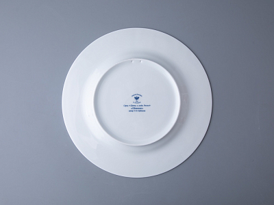 Тарелка декоративная 270 мм в подарочной упаковке форма Европейская рисунок Облепиха сибирская, арт. 81.33947.00.1