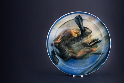 Блюдо декоративное Над островом Заячий, на форме Ромашка, арт 60.10245.00.1