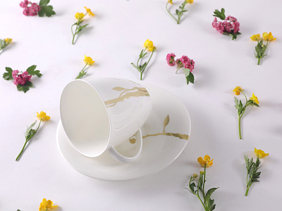 Чашка с блюдцем чайная форма Оливия рисунок Лидия арт. 81.31431.00.1