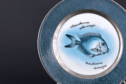 Декоративное блюдо Рыбы. Обыкновенная рыба-хирург, арт 60.09177.00.2