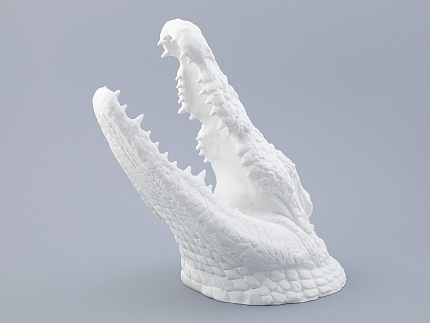 Подарочный набор Крокодил голова и хвост, рисунок Белый, арт. 81.32755.00.1