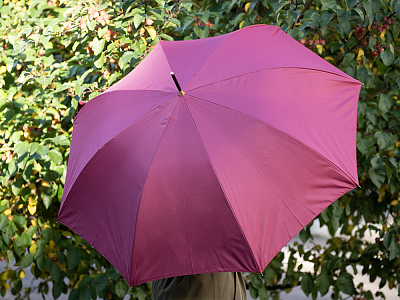 Зонт-трость рисунок Знойный разговор Бордовый арт. 41.00190.02