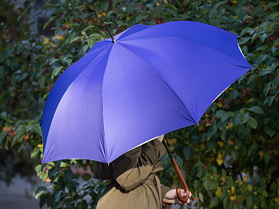 Зонт-трость рисунок Бал Пушкинских героев Фиолетовый арт. 41.00189.02